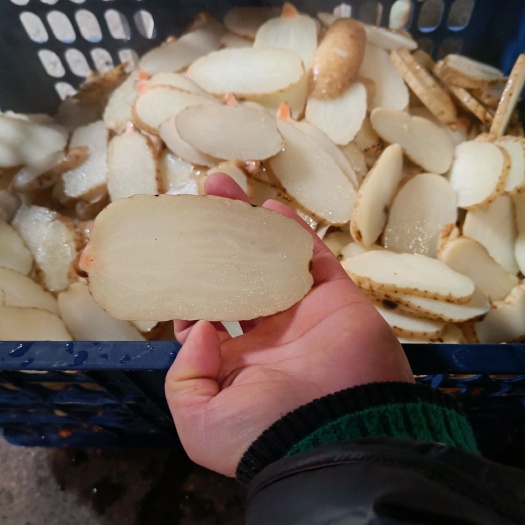 精品天麻