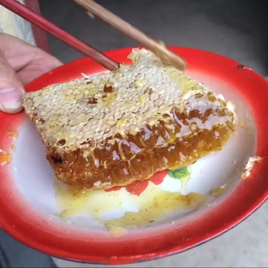 镇坪县大巴山正宗土蜂蜜