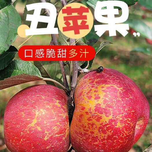 盐源县大凉山冰糖心丑苹果脆甜果园直发昭通红富士小孩孕妇洗洗直接吃