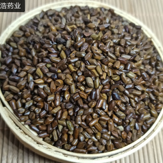 决明子 草决明 各种养生花中药材批发 欢迎选购