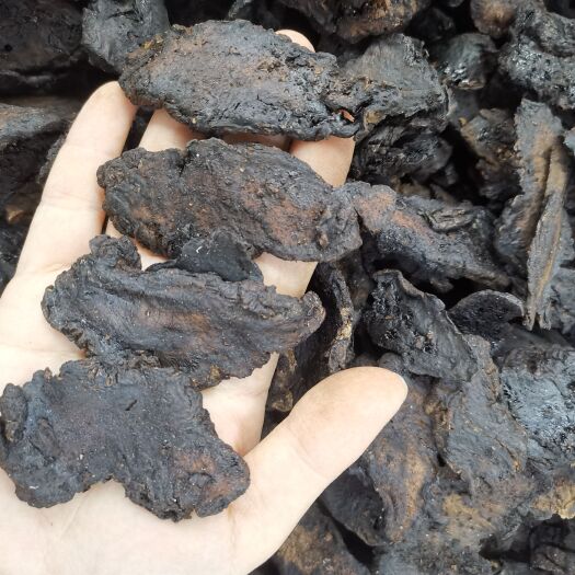 亳州生地 地黄 新货生地片规格齐全统片选货大片 产地一手货源
