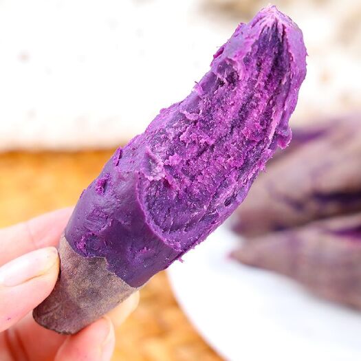 紫罗兰紫薯批发  山东紫薯紫罗兰红薯批发装车发物流