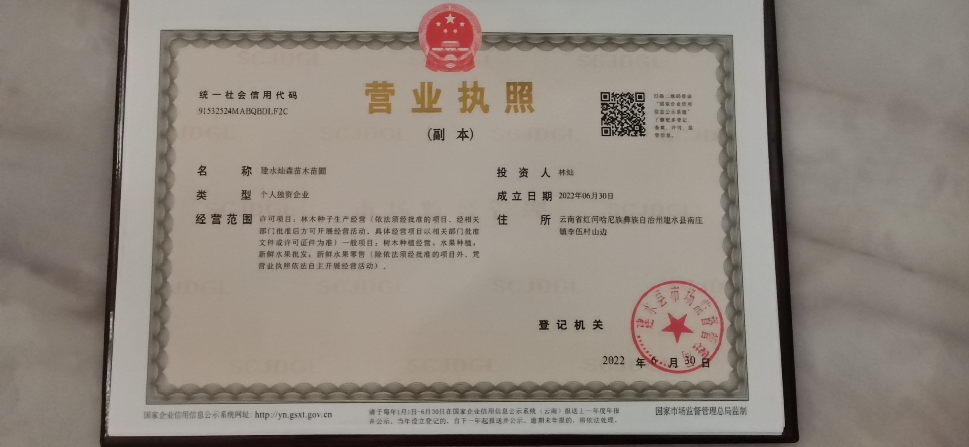 建水燦森苗木苗圃