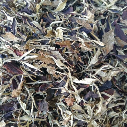 景谷县云南白茶，白牡丹