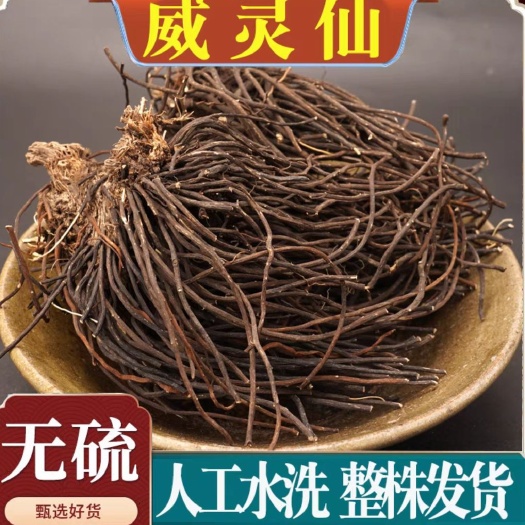 亳州威灵仙 中药材整株水洗威灵仙 规格齐全 威灵仙头须子中药材