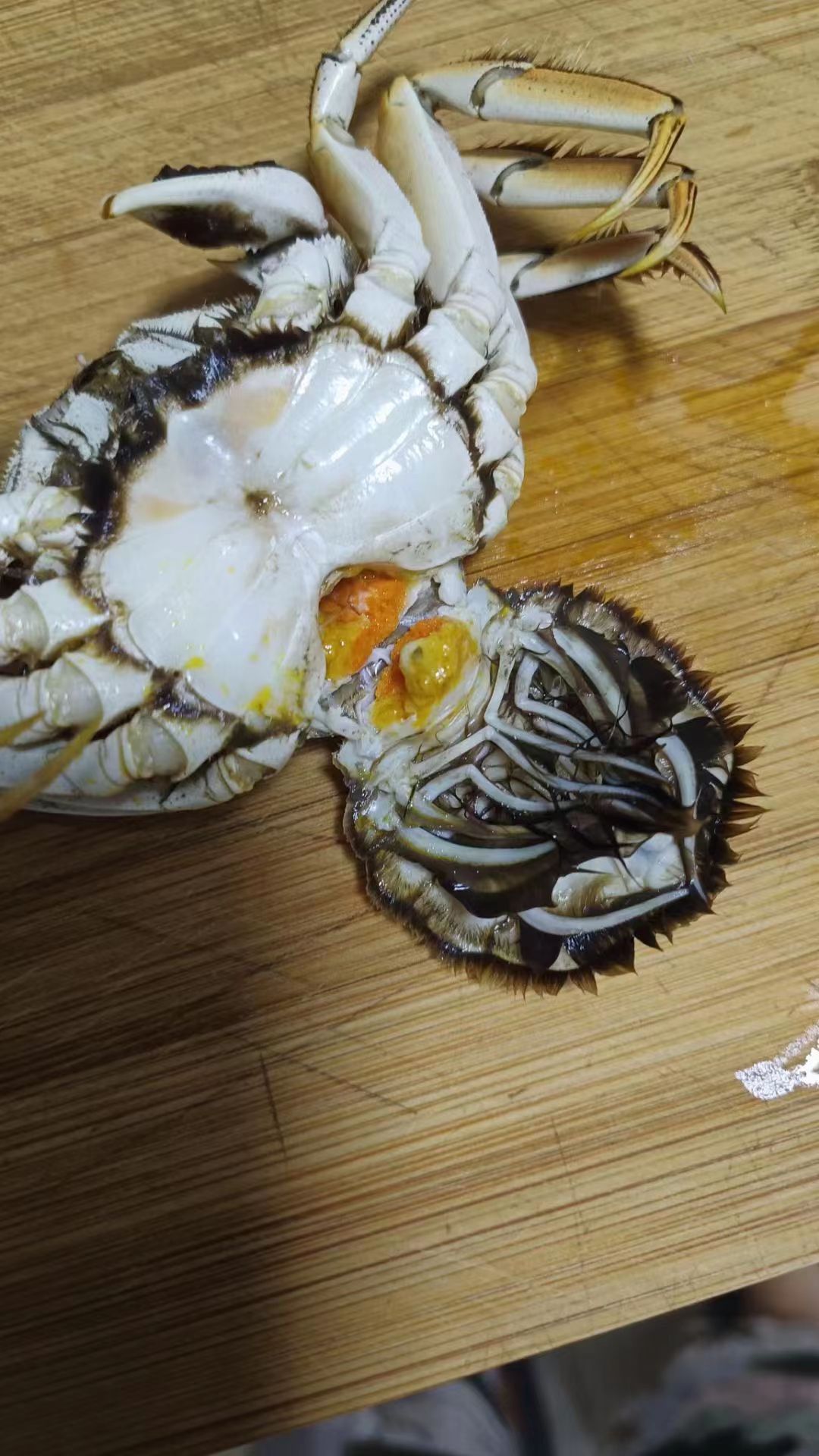 盘锦河蟹大量上市，批发零售，全国发货，欢迎咨询。