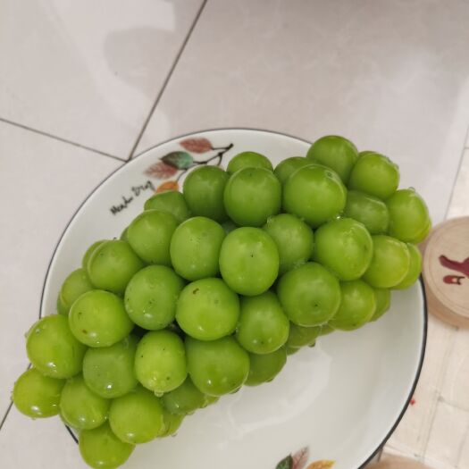 西安阳光玫瑰