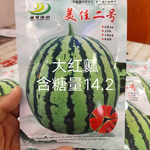 扶沟县美佳二号西瓜种子美都西瓜种子懒汉试管理结瓜多而大个个商品果