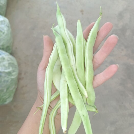 宝鸡肉豆角，也叫眉豆角