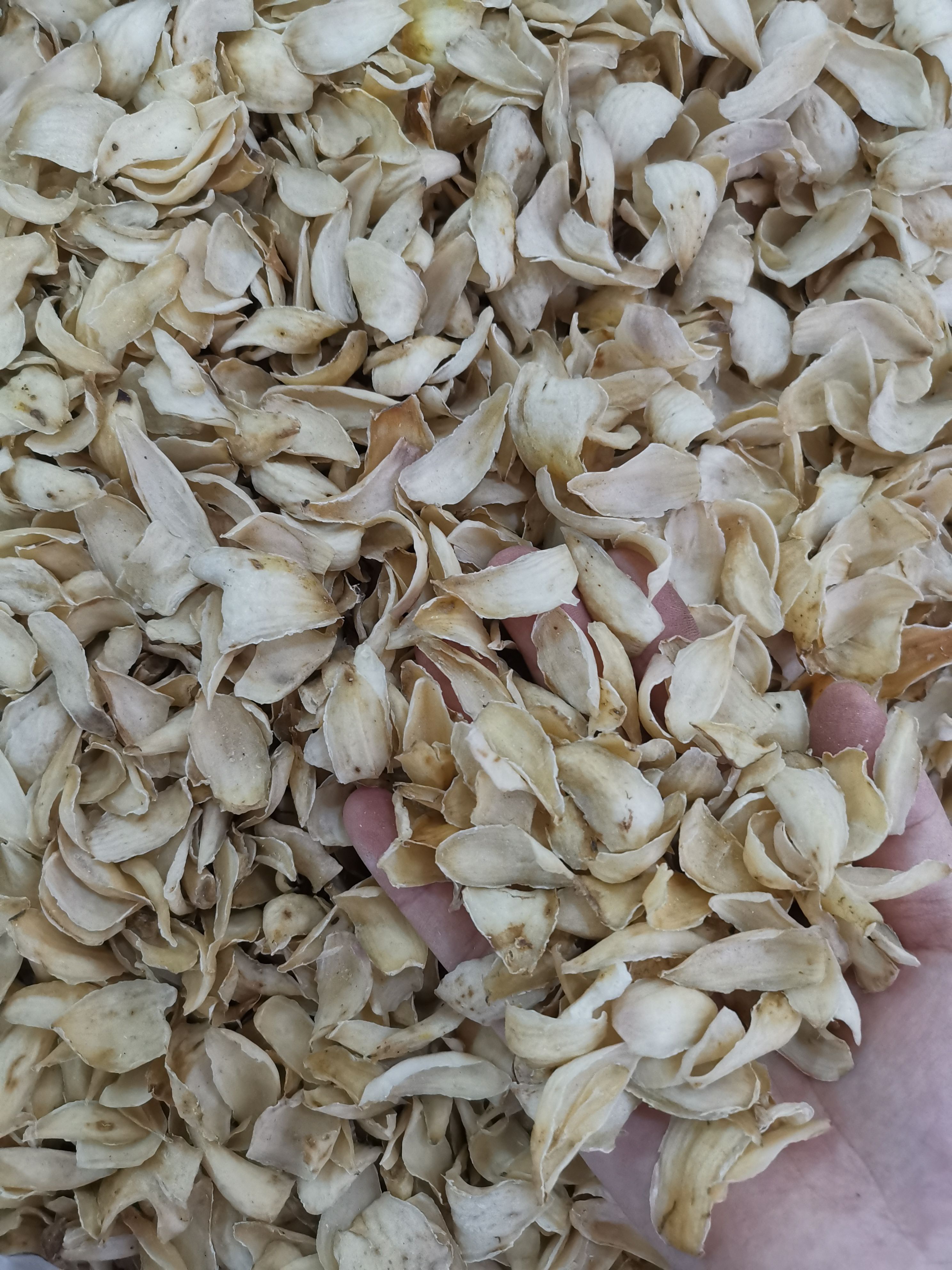 百合 无硫百合干级别百合干规格齐全 产地一手货源