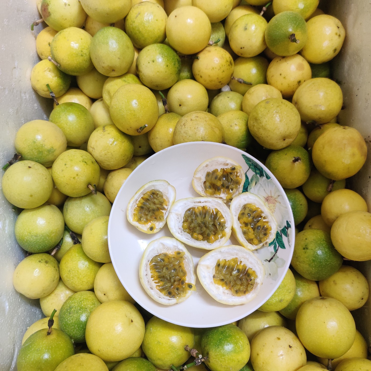 [钦蜜9号批发]梅州钦蜜9号甜蜜味纯甜无酸黄金百香果价格36.