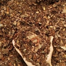 新干县松鳞基质容器苗木花卉栽培植料腐熟松树皮