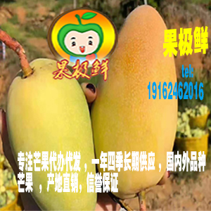 果極鮮水果生鮮
