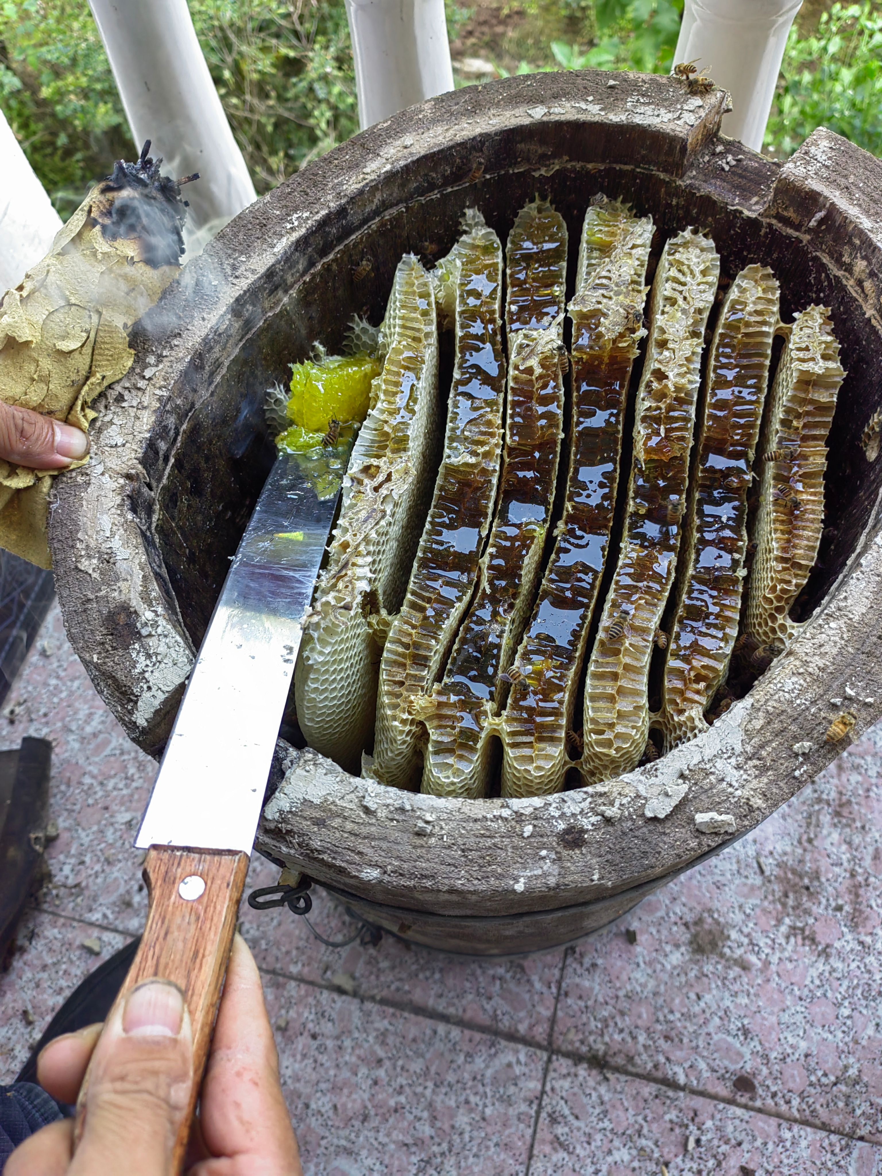 蜂蜜  中蜂蜜   土蜂蜜   蜂糖