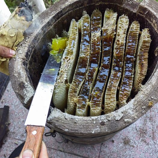利川市蜂蜜  中蜂蜜   土蜂蜜   蜂糖
