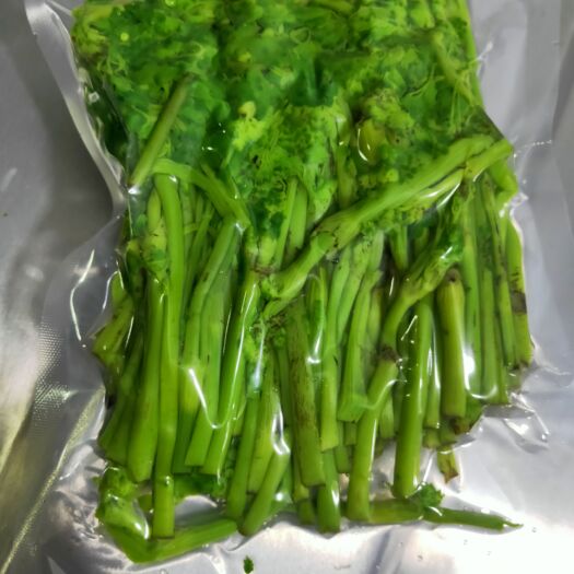 抚顺速冻山野菜，纯绿色，口感纯正