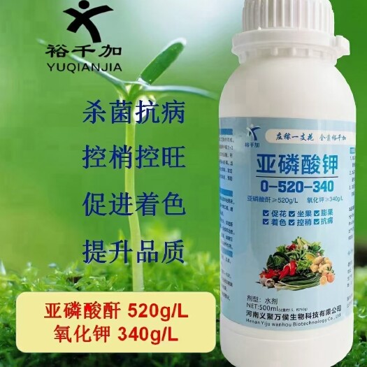 郑州叶面肥亚磷酸钾，杀菌控旺，膨大果实，着色均匀，增产增收！