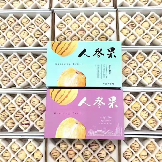 昆明云南石林人参果，高原人参果，产地直发，无中间商。支持一件代发