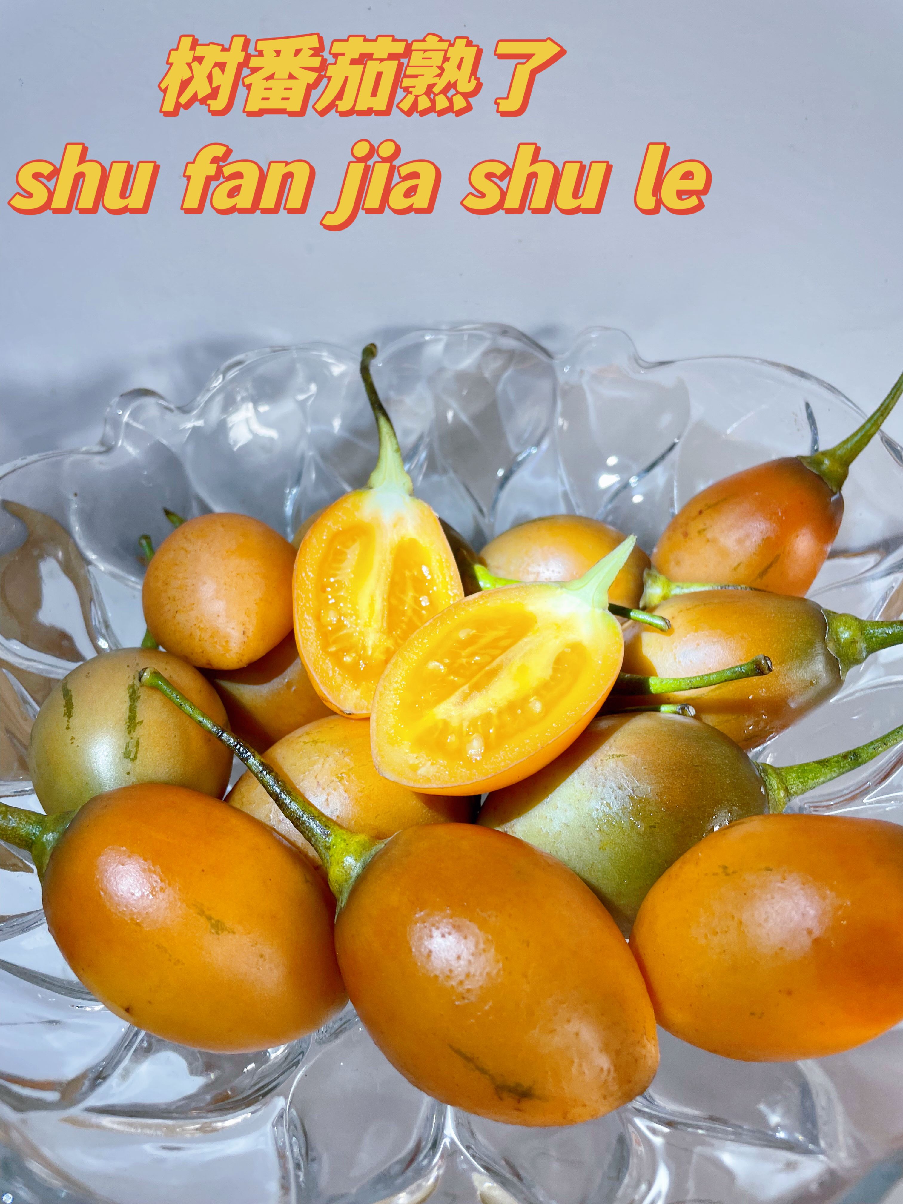 云南特产树番茄：海拔1300米，口感酸甜。