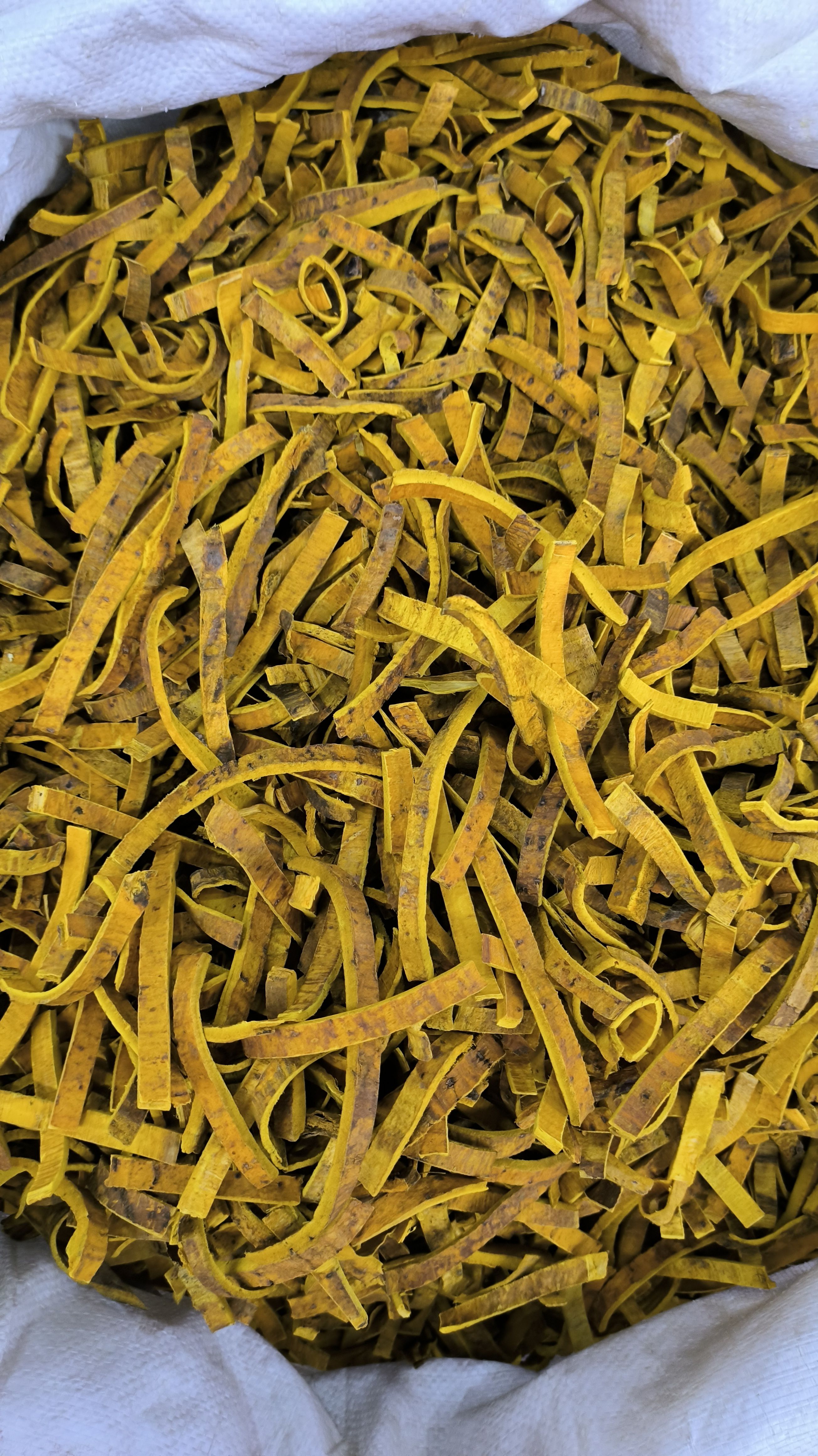 黄柏中药材 黄柏皮黄柏粉 川黄柏关黄柏 去皮黄柏 带皮黄柏