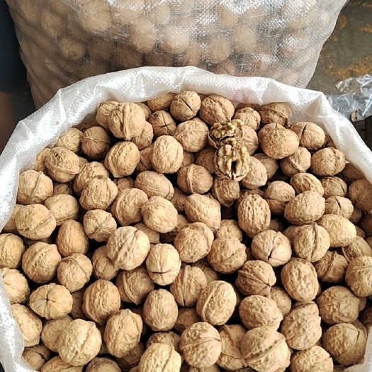 云南纸皮核桃，