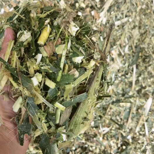 散装玉米秸秆