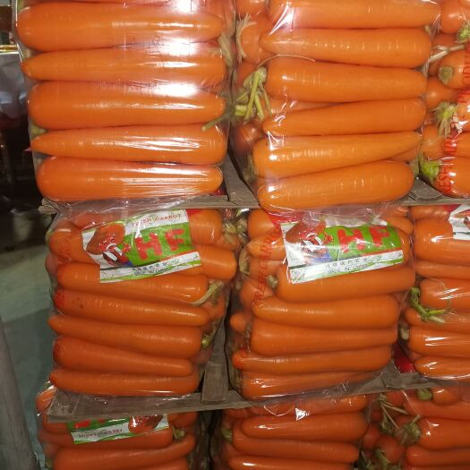 寿光市精品胡萝卜，大条，中条，小条，次品，规格齐全