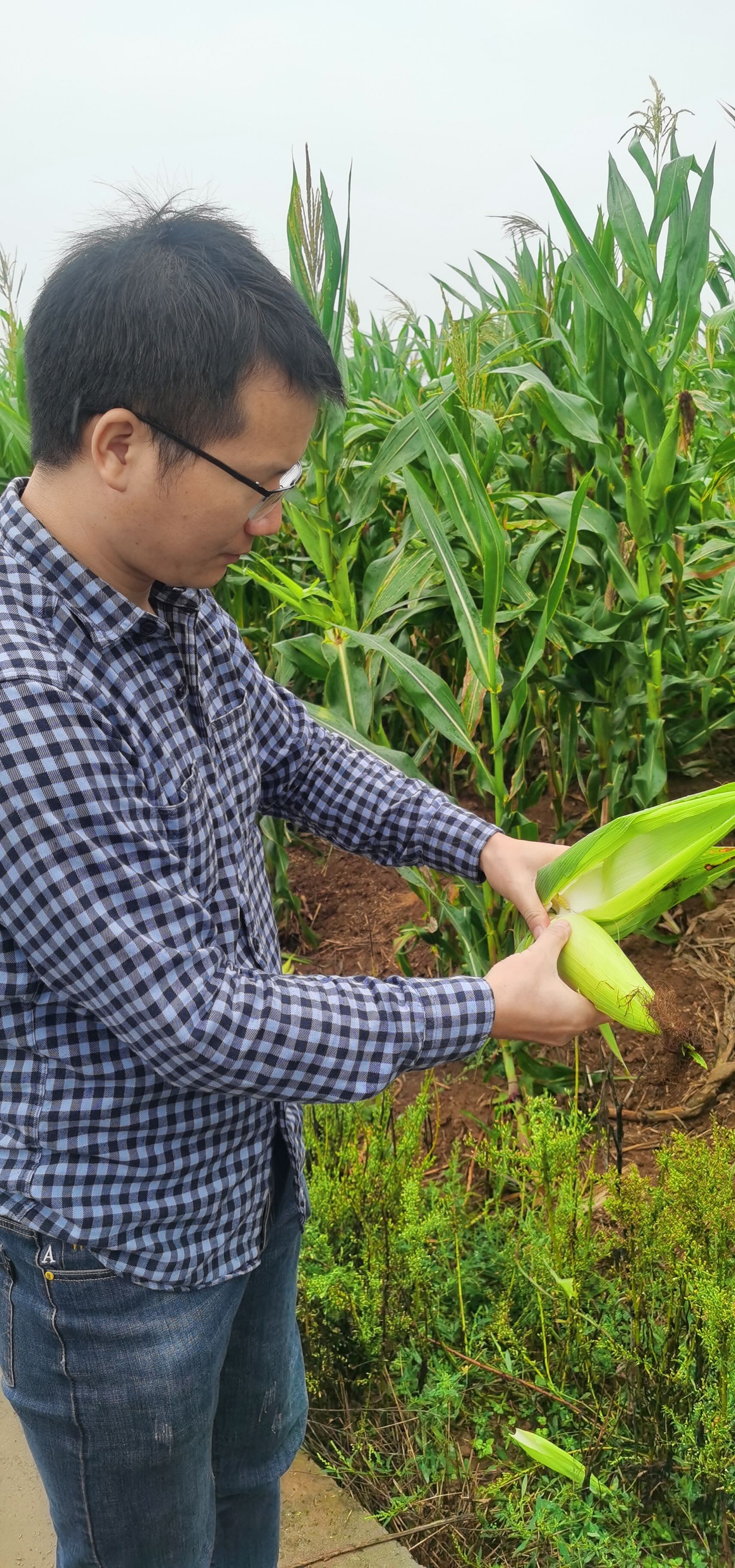 种植什么一亩地能赚5000元(种植什么一亩地能赚5000元呢)