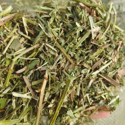 正定县花生秧