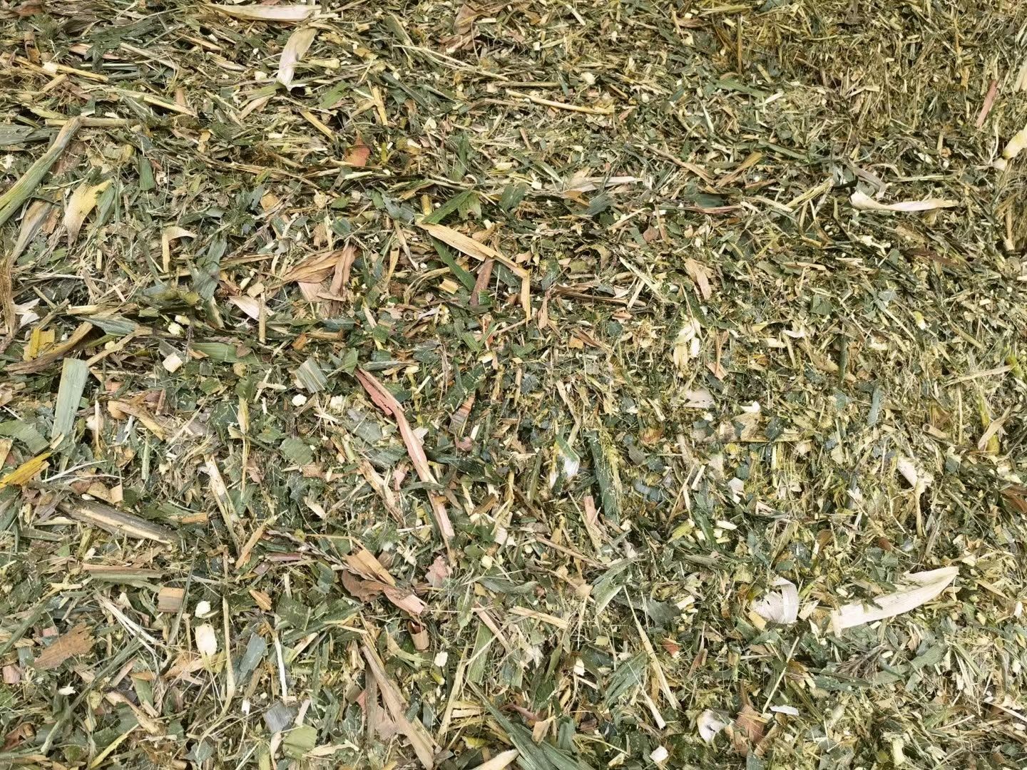 散装玉米秸秆
