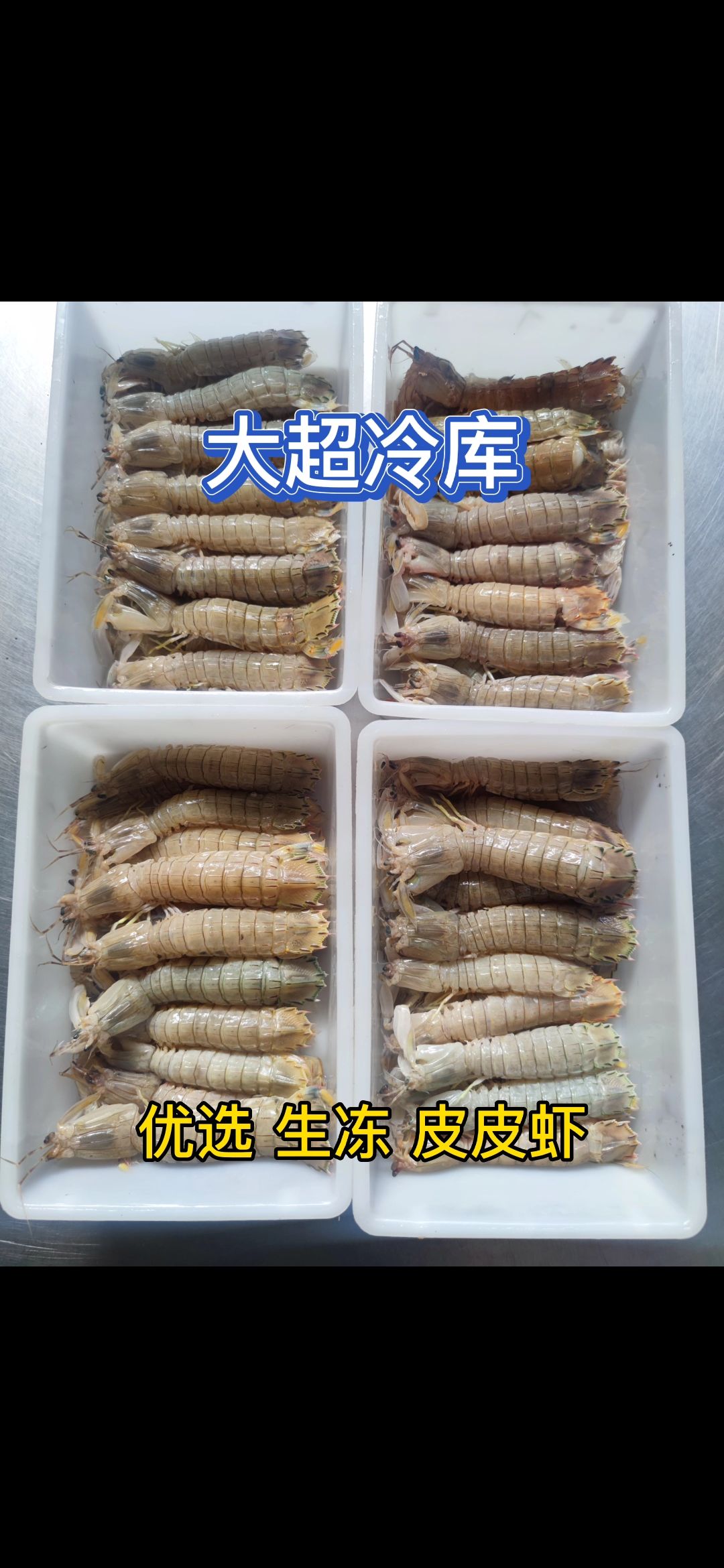 优选 生冻皮皮虾 可定做