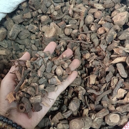 黑老虎别名冷饭团红战过山风量大从优干货实拍图
