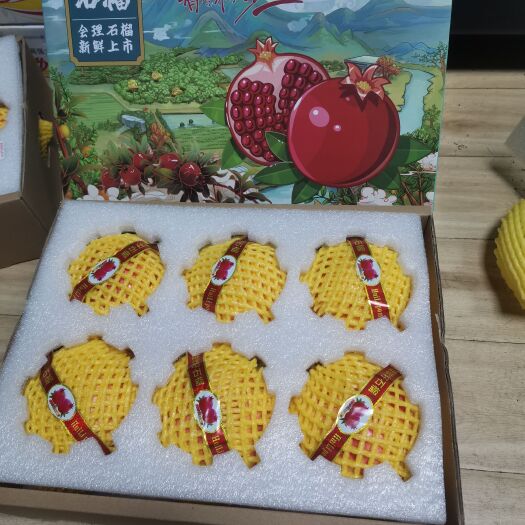 会理市突尼斯