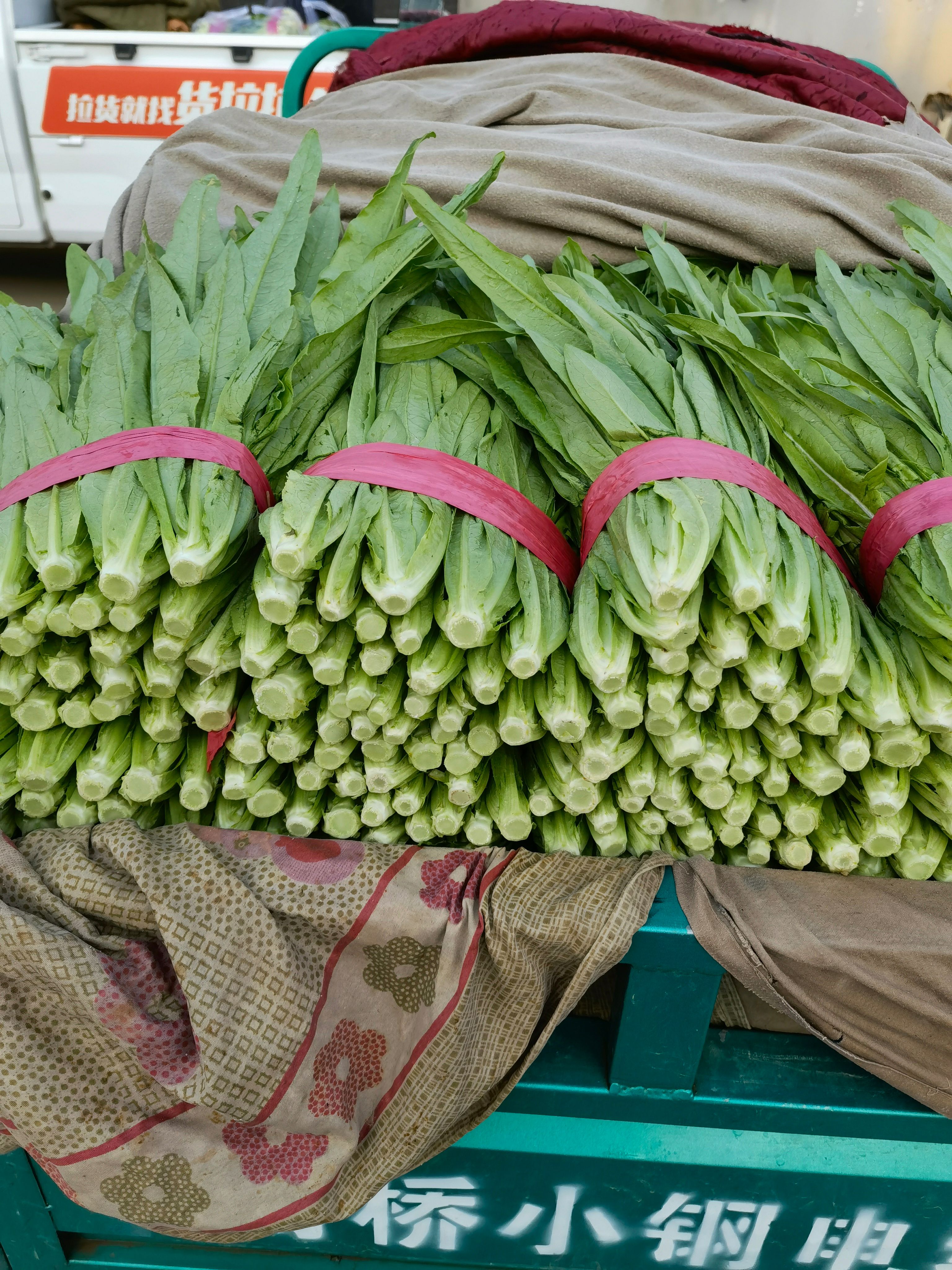 油麥菜