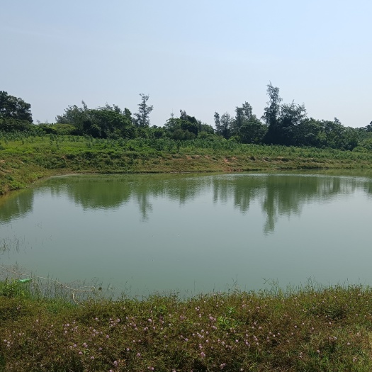 士地岀租，