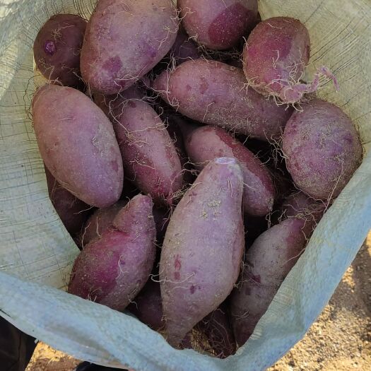 莒南县紫薯，沙土岭地，香甜软糯，质量保证，合作共赢