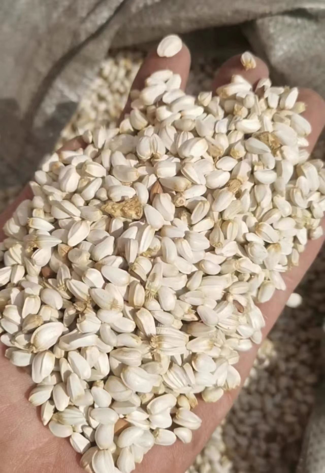 红花籽，可以榨油，库存有10吨，寻找长期合作采购商，欢迎咨询