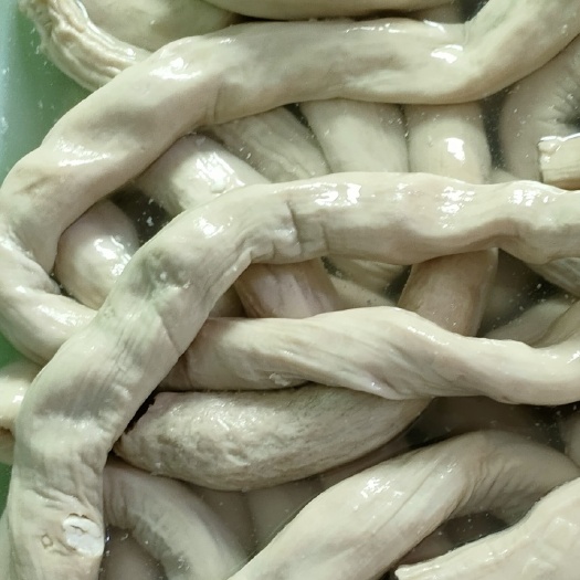 佛山小肠