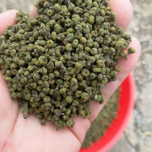 河池吴茱萸