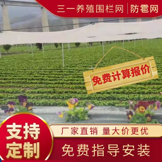 安平县1果树防雹网 果园菜园防冰雹网防鸟网防老化养殖葡萄大棚防坠物