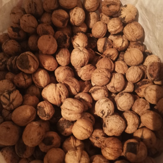 林州市核桃
