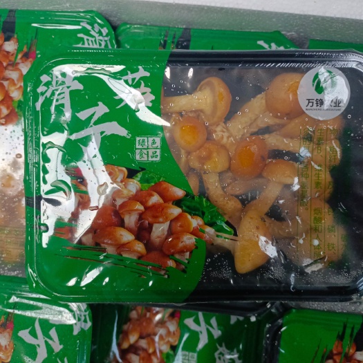 张家口滑子菇