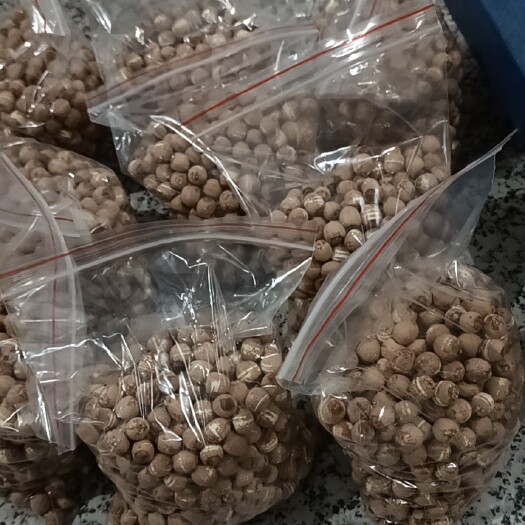 耒阳市自己家种植的不打农药不用化肥农产品