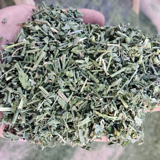 珍珠透骨草 高含量 山西珍珠透骨草片子