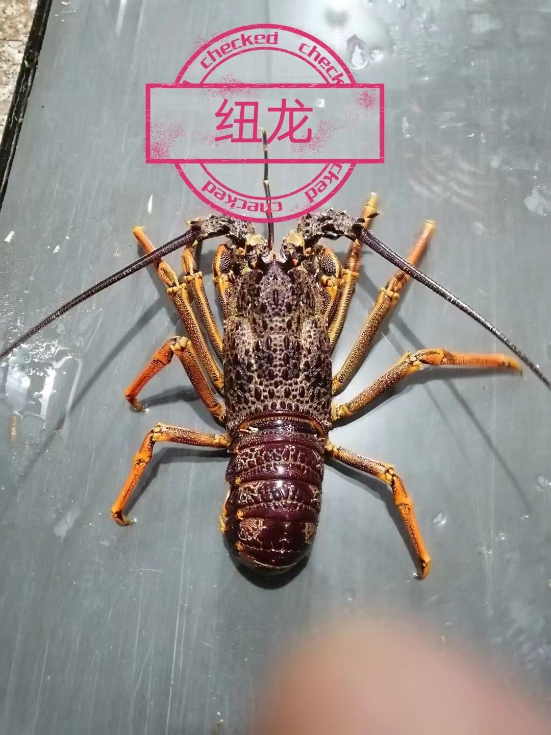 盛源水產(chǎn)店
