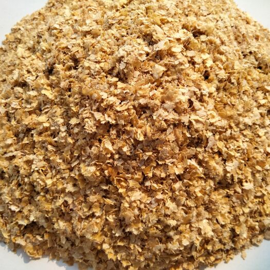 正定县优质大片麦麸，价格优势，诚信经营，适于猪牛羊鸡鸭鹅