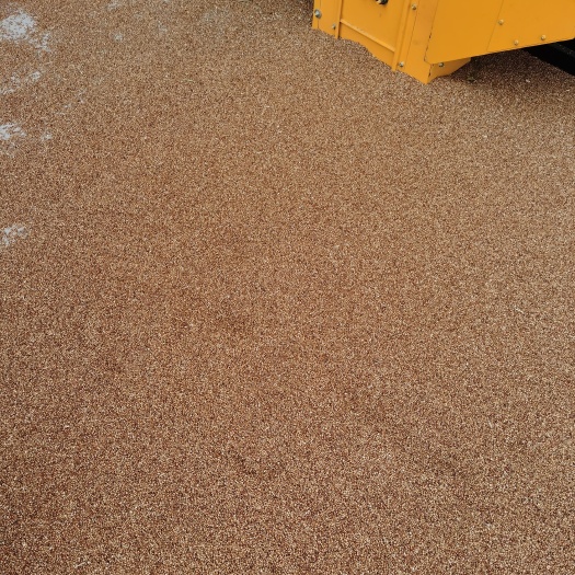 灵璧县冀酿4号