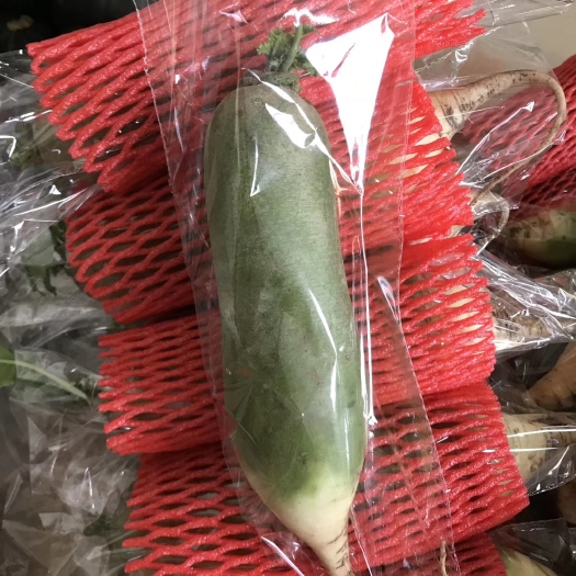 潍坊青萝卜  潍县萝卜，万亩大棚瓜茬萝卜，无代办费，实力代购，大