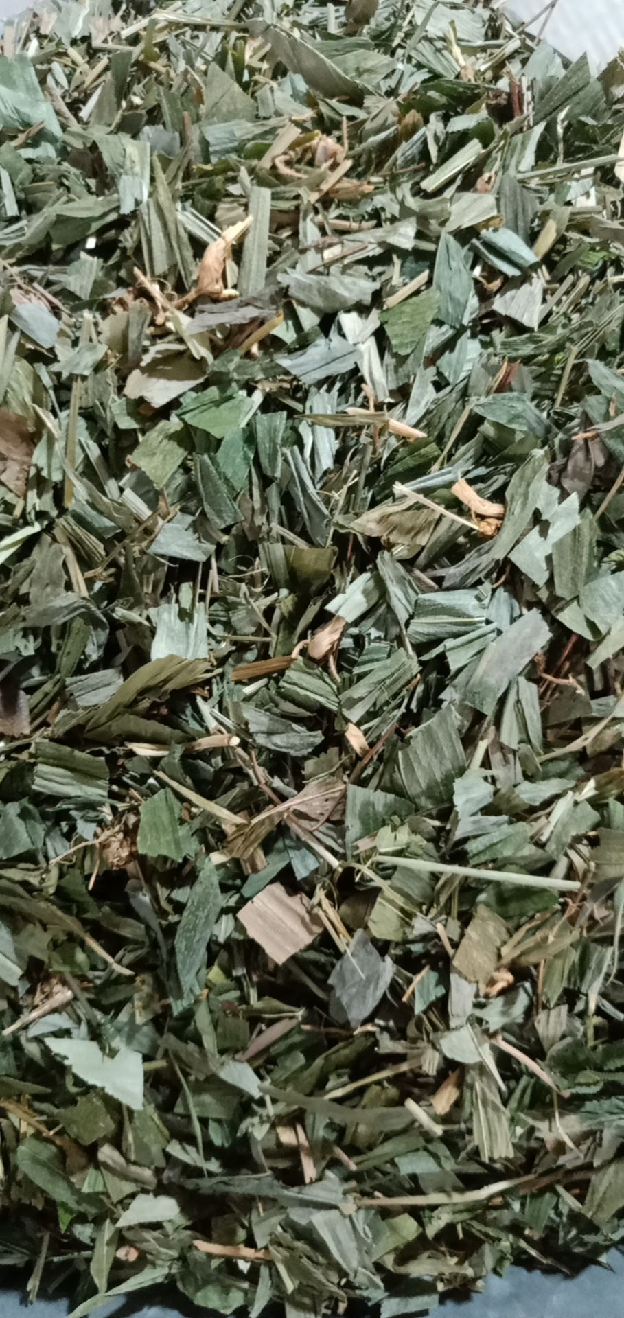 淡竹叶 中药材淡竹叶