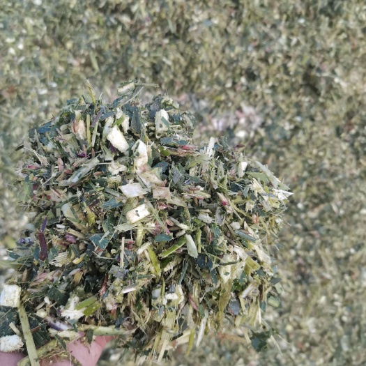 柏乡县玉米秸秆，黄储，青储，散装